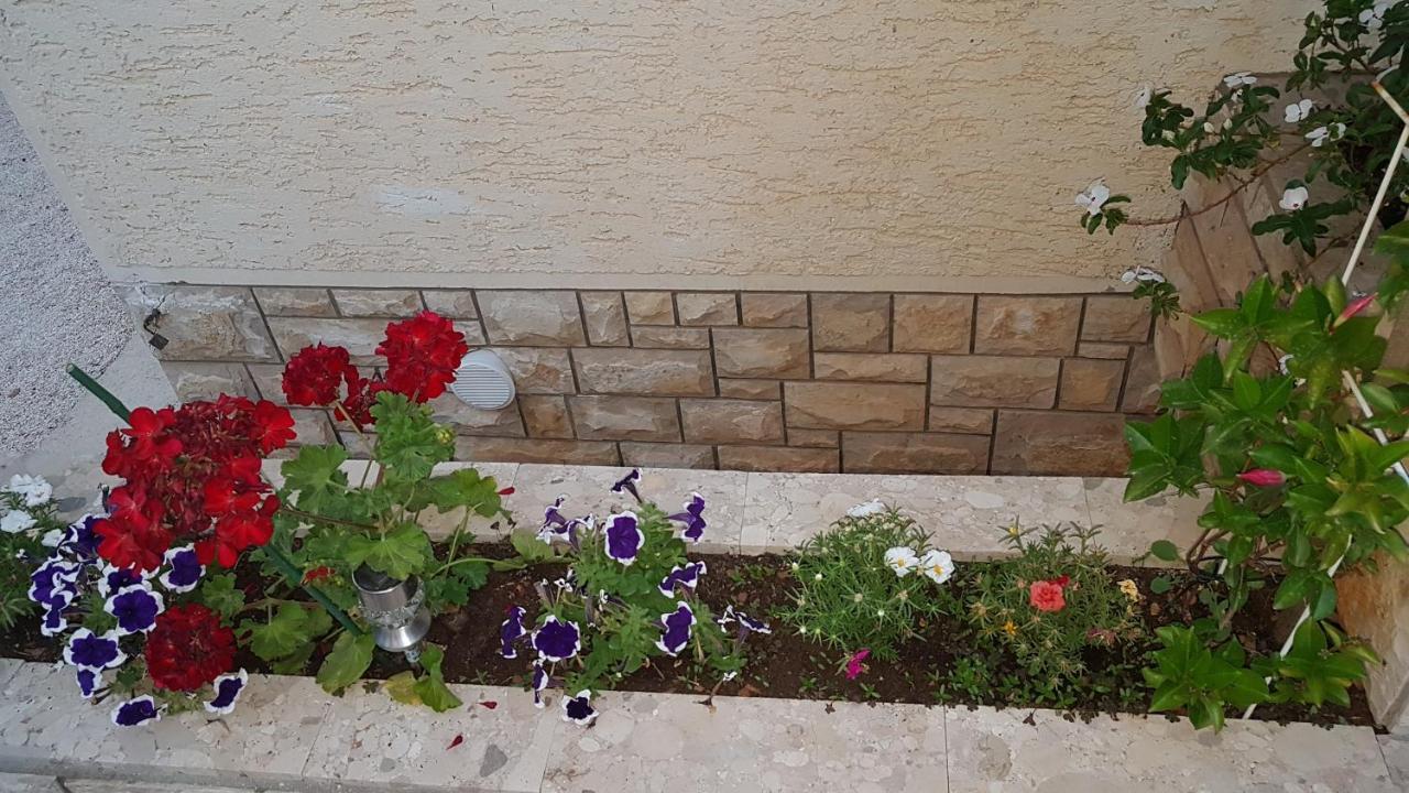 Apartment Sara Новаля Екстериор снимка
